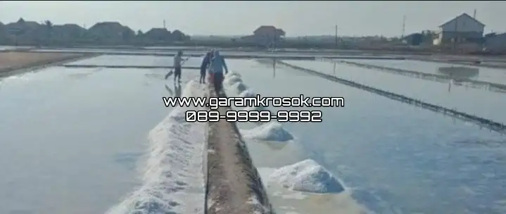 Jual Garam Krosok Surabaya Langsung dari Distributor Resmi